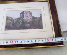 Blarney Castle Ireland Framed Art Print