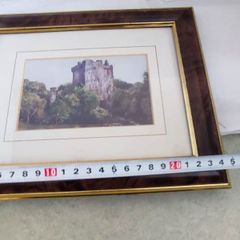 Blarney Castle Ireland Framed Art Print