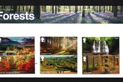2019 Great Britain Forests Commemorative Stamps Presentation Pack