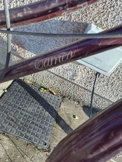 raleigh bike