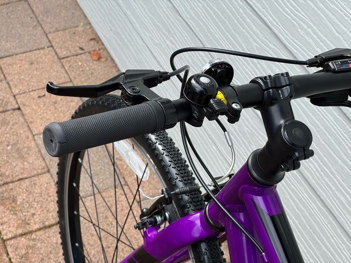 Giant ARX 24" Junior Bike - Purple