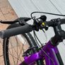 Giant ARX 24" Junior Bike - Purple Image 3