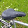 Gold Rush Road Bike Image 2