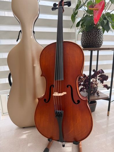 1/2 size cello