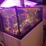 Custom build aquarium 370 liter +sump extras Image 8