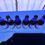 6 vintage 1980's empty Harp Lager bottles 250ml Image 5