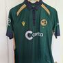 Ireland Cricket Match Worn Jerseys Women's Team x 3 Image 3