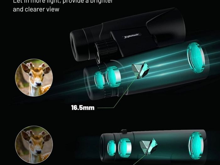 12x42 Binocular for Adults with BAK4 Prism, FMC Lens, Fogproof & Waterproof Great for Bird Watching Travel Stargazing Hunting Concerts Smartphone Adapter Included (FREE POSTAGE)