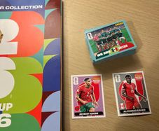Panini World Cup Stickers SWAP