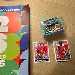 Panini World Cup Stickers SWAP