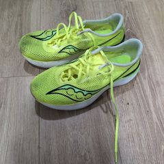 Saucony endorphin pro 3 mens 10.5 46