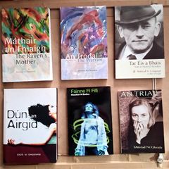 Six Female Authors Irish Books
