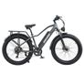 BURCHDA RX20 All-terrain Fat Tire Electric Bike Image 2