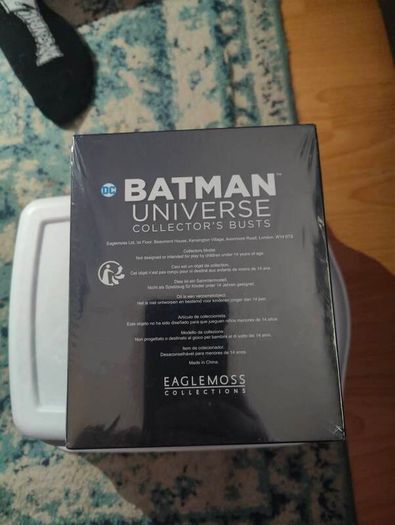 Batman universe figure - robin