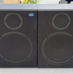 Puoneer S-X21 Bookshelf speakers