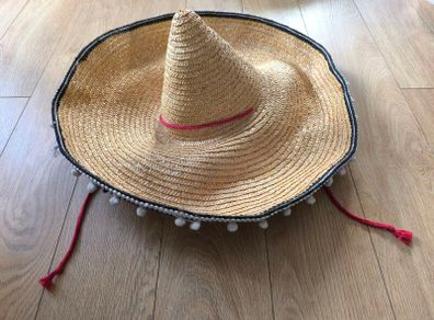 Sombrero Mexican party hat Halloween