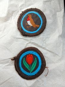 Vintage late 70s  Irish Girl Guides  sew on badges