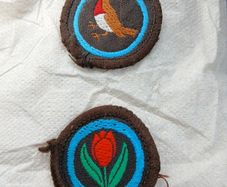 Vintage late 70s  Irish Girl Guides  sew on badges