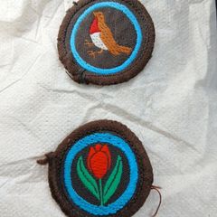 Vintage late 70s  Irish Girl Guides  sew on badges
