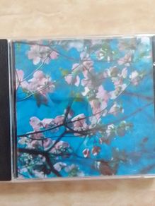 Joel R. L. Phelps And The Downer Trio CD