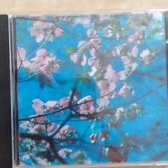 Joel R. L. Phelps And The Downer Trio CD
