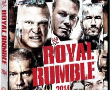 WWE / Wrestling DVDs