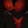 Competition Bikini Image 6