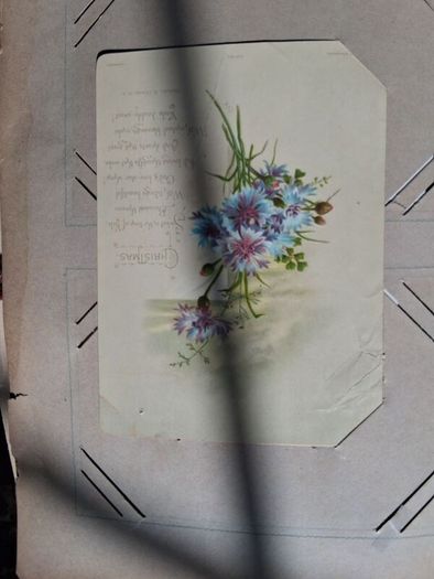 Mega Art Nouveau Postcard Album (197 Pieces)