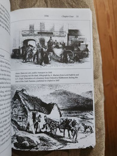 The Irish Famine. An Illustrated History By Helen Litton. First Edition Paperback In Good Condition.