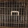Small Dog Crate Image 5