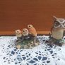 Wise Old Owl Image 2
