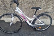 bike  works perfect