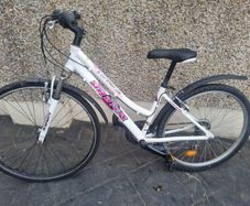 bike  works perfect
