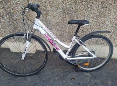 bike  works perfect