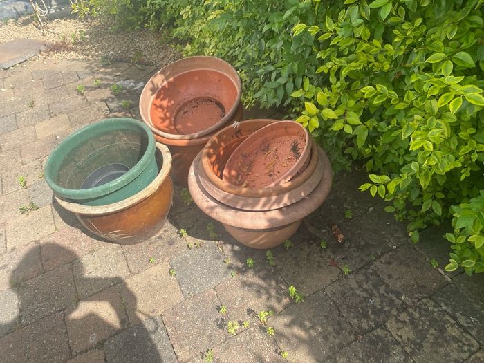Free flower pots