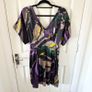 Coast Silk Dress Image 5
