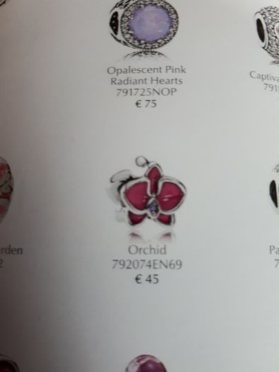 New genuine pandora pink orchid charm