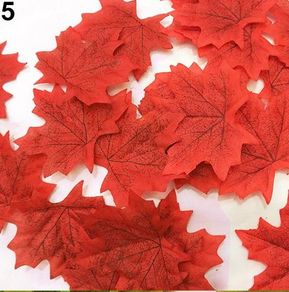 Maple Leaves