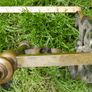 Victorian Brass Fire Dog or Antique Andiron Image 9