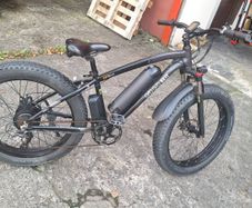 Go go best electric bike