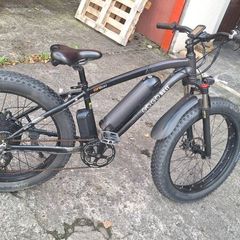 Go go best electric bike