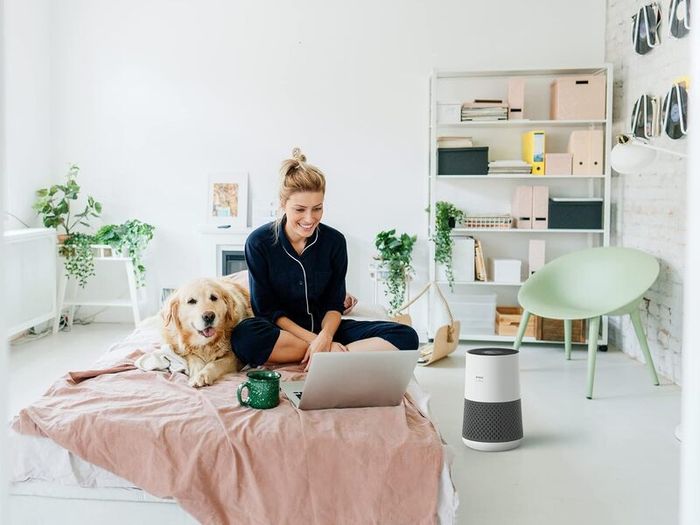 Compact Air Purifier for Bedroom Home, CADR 250 mh, 50m HEPA & Carbon Filter removes Allergies, Pollen, Dust, Smoke, Air Cleaner with Air Quality Sensor, Sleep Mode