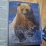 Understanding RAW Photography (Hardcover) Image 5