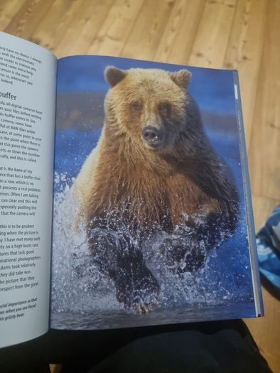 Understanding RAW Photography (Hardcover)