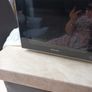 Dimplex Silver  Freestanding Microwave  Oven - Model   980353 - 20 Li Image 2