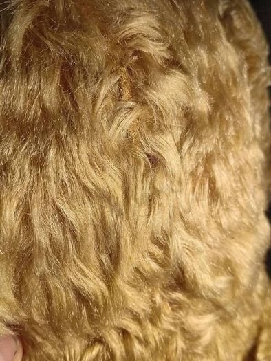 25" 1930's Fully Articulated Mohair Teddy Bear