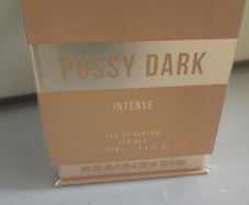 Rammstein Pussy Dark Intense