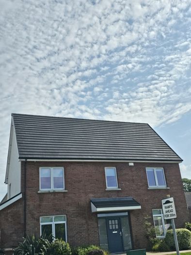 cleaning home inside/outside