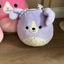 Squishmallow bundle Image 4