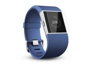 Fitbit Surge Fitness Smartwatch Tempered Glass Screen Protector